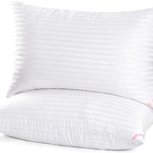 2-Pack Super Soft Down Alternative Bed Pillows