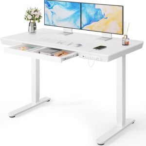 48x24 Electric Standing Desk with Drawer Height Adjustable White